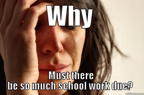 WHY MUST THERE BE SO MUCH SCHOOL WORK DUE?  First World Problems