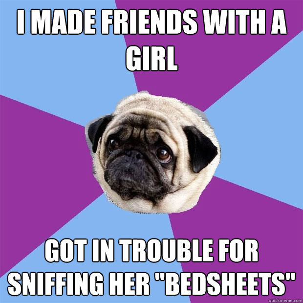 I made friends with a girl Got in trouble for sniffing her 