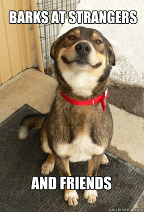 Barks at Strangers and friends  Good Dog Greg