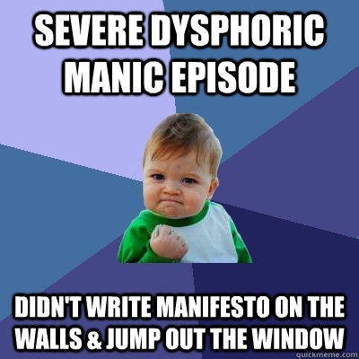 severe Dysphoric manic episode Didn't write manifesto on the walls & jump out the window - severe Dysphoric manic episode Didn't write manifesto on the walls & jump out the window  Success Kid