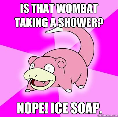 Is that wombat taking a shower? nope! Ice soap.  Slowpoke