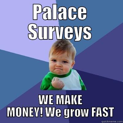 PALACE SURVEYS WE MAKE MONEY! WE GROW FAST Success Kid