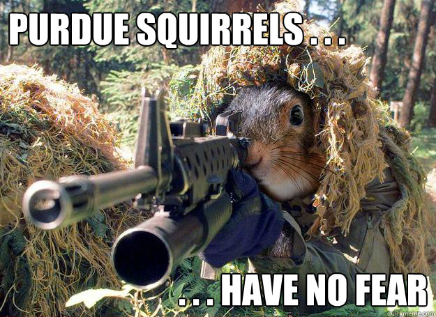 Purdue Squirrels . . . . . . have no fear  Squirrel