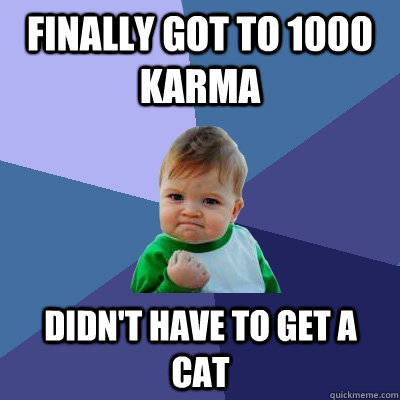 finally got to 1000 karma didn't have to get a cat  Success Kid