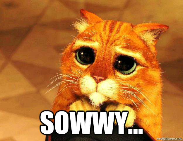  Sowwy...  Puss In Boots is Sorry