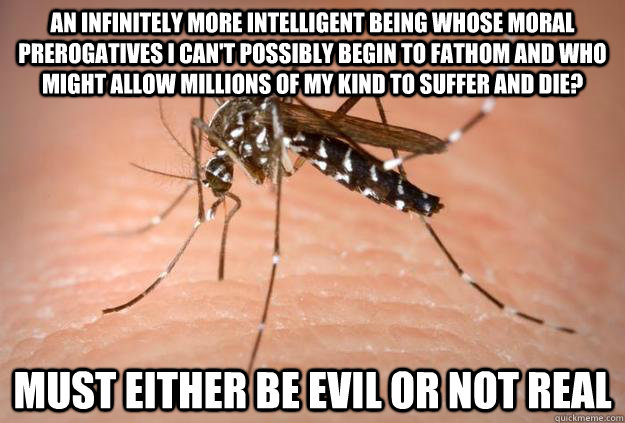 An infinitely more intelligent being whose moral prerogatives I can't possibly begin to fathom and who might allow millions of my kind to suffer and die? Must either be evil or not real  Scumbag Mosquito