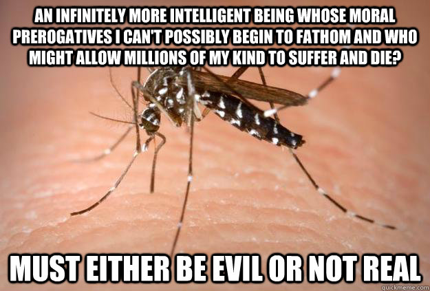 An infinitely more intelligent being whose moral prerogatives I can't possibly begin to fathom and who might allow millions of my kind to suffer and die? Must either be evil or not real - An infinitely more intelligent being whose moral prerogatives I can't possibly begin to fathom and who might allow millions of my kind to suffer and die? Must either be evil or not real  Scumbag Mosquito