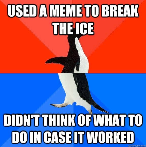 used a meme to break the ice didn't think of what to do in case it worked  Socially Awesome Awkward Penguin