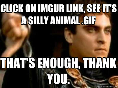 Click on Imgur link, see it's a silly animal .gif That's enough, thank you.  Downvoting Roman