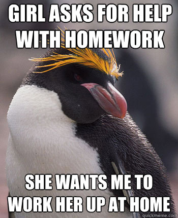 girl asks for help with homework She wants me to work her up at home  Socially Overconfident Penguin