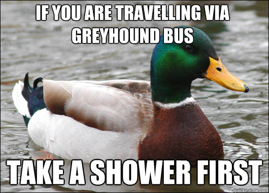 If you are travelling via greyhound bus take a shower first  Actual Advice Mallard