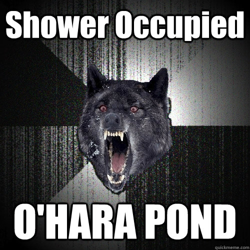 Shower Occupied O'HARA POND  Insanity Wolf