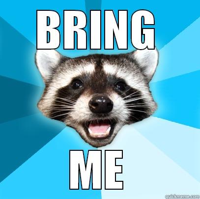 BRING ME Lame Pun Coon
