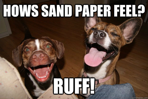 hows sand paper feel? ruff!  Clean Joke Puppies