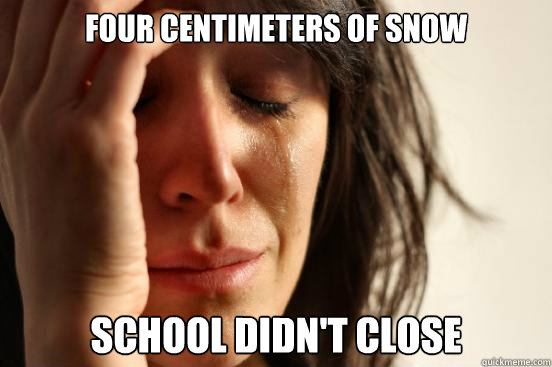 four centimeters of snow school didn't close  First World Problems