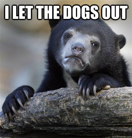 I Let the dogs out   Confession Bear