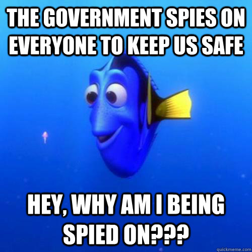 The government spies on everyone to keep us safe Hey, why am I being spied on??? - The government spies on everyone to keep us safe Hey, why am I being spied on???  dory