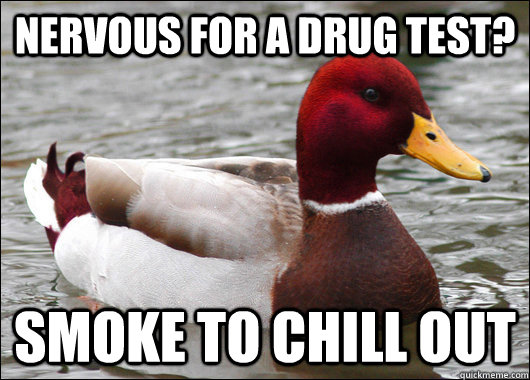 Nervous for a drug test? Smoke to chill out  Malicious Advice Mallard
