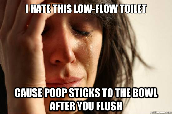 i hate this low-flow toilet cause poop sticks to the bowl after you flush  First World Problems