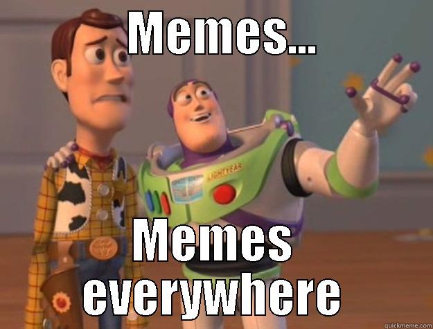              MEMES...             MEMES EVERYWHERE Toy Story