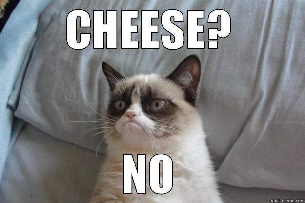 CHEESE? NO Grumpy Cat