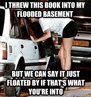 I threw this book into my flooded basement but we can say it just floated by if that's what you're into  Karma Whore