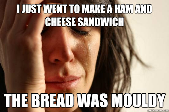i just went to make a ham and cheese sandwich  the bread was mouldy  First World Problems