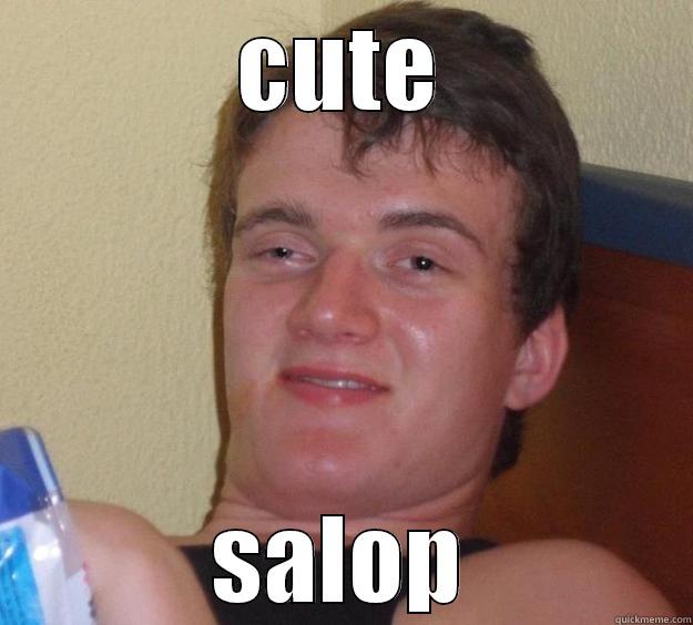 CUTE SALOP 10 Guy