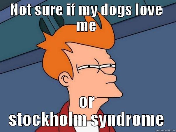 NOT SURE IF MY DOGS LOVE ME OR STOCKHOLM SYNDROME Futurama Fry