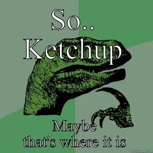 SO.. KETCHUP MAYBE THAT'S WHERE IT IS Philosoraptor