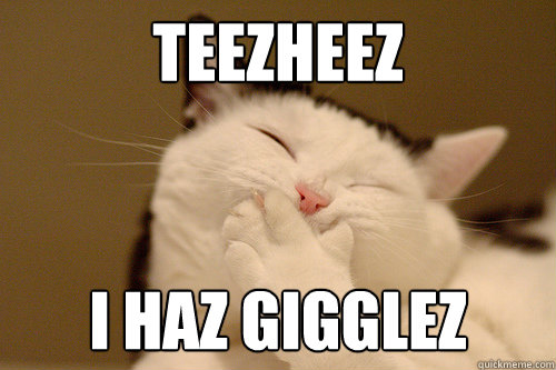 teezheez i haz gigglez  