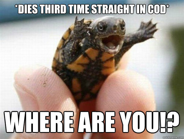 *dies third time straight in COD* WHERE ARE YOU!? - *dies third time straight in COD* WHERE ARE YOU!?  Outrage Turtle