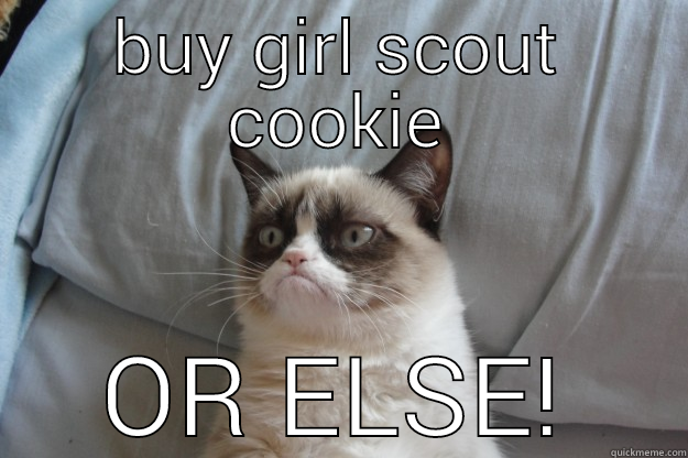 Buy girl scout cookies from Sarah -  OR ELSE! Grumpy Cat