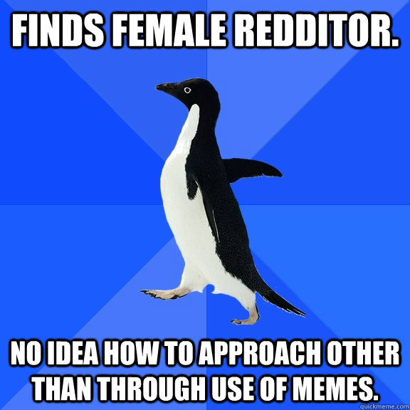 Finds female redditor. No idea how to approach other than through use of memes.   Socially Awkward Penguin