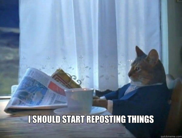  I should start reposting things  morning realization newspaper cat meme