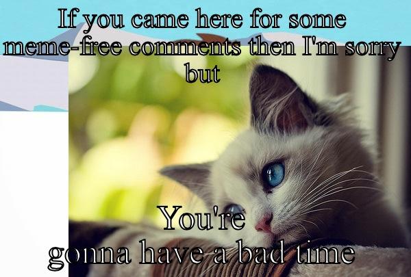 Too much meme? - IF YOU CAME HERE FOR SOME MEME-FREE COMMENTS THEN I'M SORRY BUT YOU'RE GONNA HAVE A BAD TIME Super Cool Ski Instructor