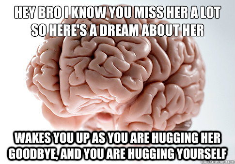 Hey Bro i know you miss her a lot so here's a dream about her wakes you up as you are hugging her goodbye, and you are hugging yourself  Scumbag Brain