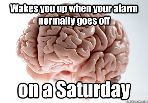 Wakes you up when your alarm normally goes off on a Saturday   Scumbag Brain