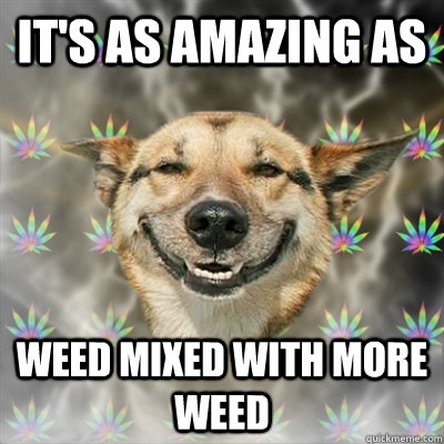 It's as amazing as Weed mixed with more weed  Stoner Dog