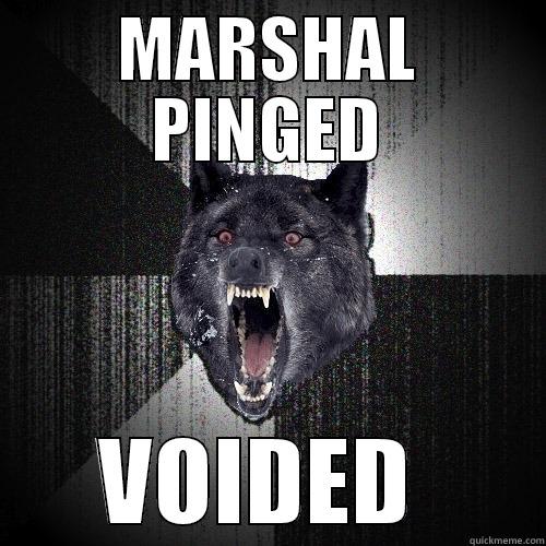MARSHAL PINGED VOIDED  Insanity Wolf