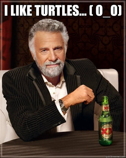 I like turtles... ( o_o)   The Most Interesting Man In The World