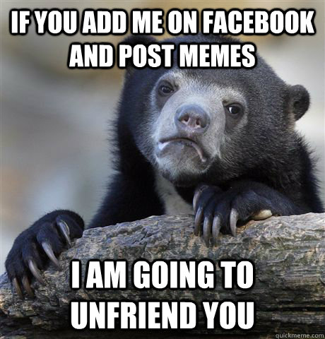 if you add me on facebook and post memes I am going to unfriend you - if you add me on facebook and post memes I am going to unfriend you  Confession Bear
