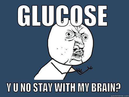 GLUCOSE Y U NO STAY WITH MY BRAIN? Y U No