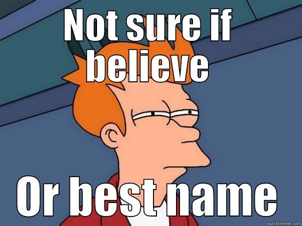 NOT SURE IF BELIEVE OR BEST NAME Futurama Fry