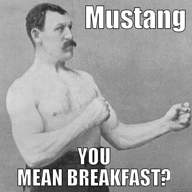                  MUSTANG  YOU MEAN BREAKFAST? overly manly man