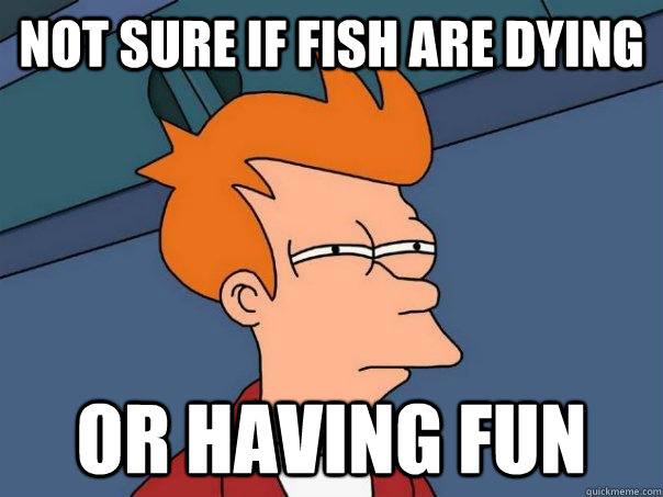 Not sure if fish are dying or having fun - Not sure if fish are dying or having fun  Futurama Fry