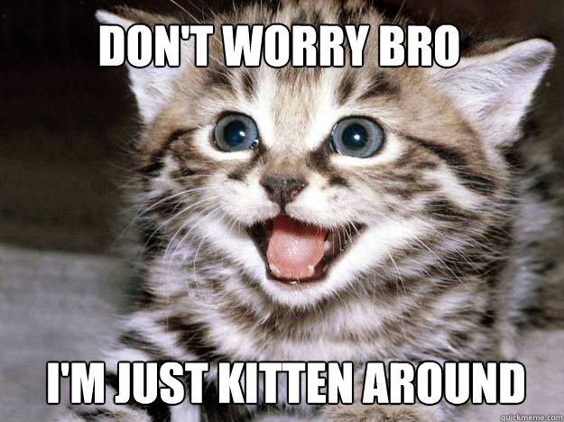 Don't worry bro I'm just kitten around - Don't worry bro I'm just kitten around  Kitten Bro