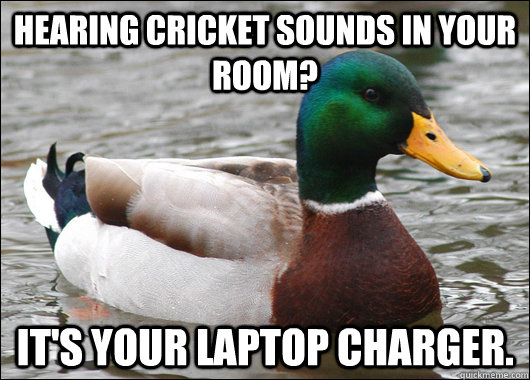 Hearing cricket sounds in your room? It's your laptop charger.  Actual Advice Mallard