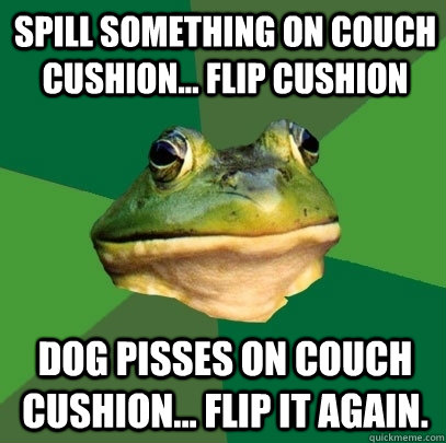 Spill something on couch cushion... flip cushion Dog pisses on couch cushion... flip it again.  Foul Bachelor Frog