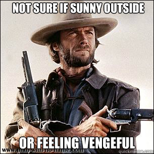 Not sure if sunny outside or feeling vengeful - Not sure if sunny outside or feeling vengeful  Clint Eastwood is Priceless!!